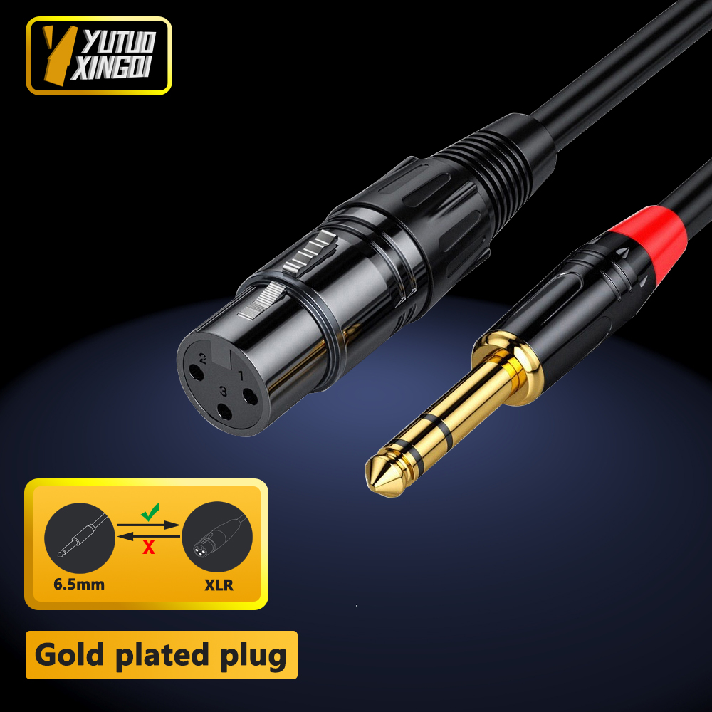 Musical Instrument Synthesizer - Câble Audio Audio femelle 6.5mm vers