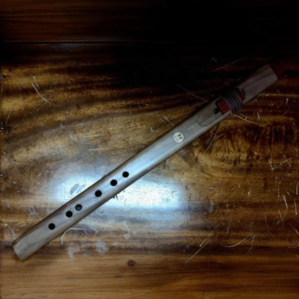 Flûte verticale en bois tonali - Musical Instrument A Recorder avis et prix