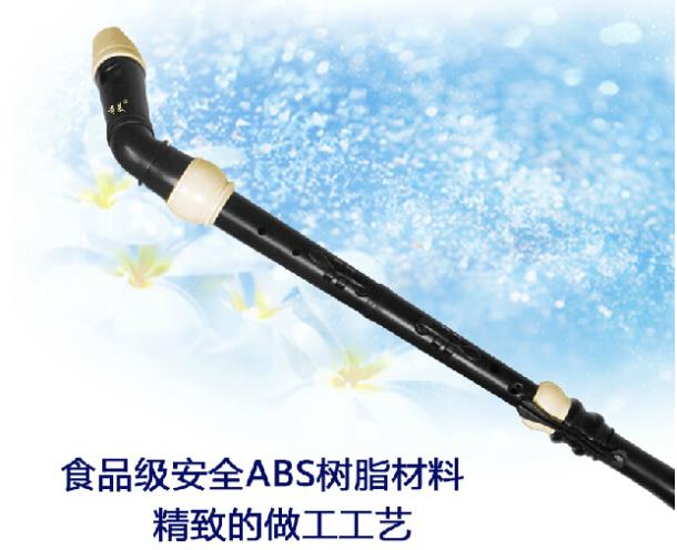 Clarinette professionnelle en  - Musical Instrument A Recorder avis et prix