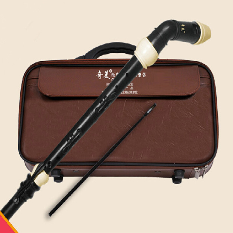 Clarinette professionnelle en  - Musical Instrument A Recorder avis et prix