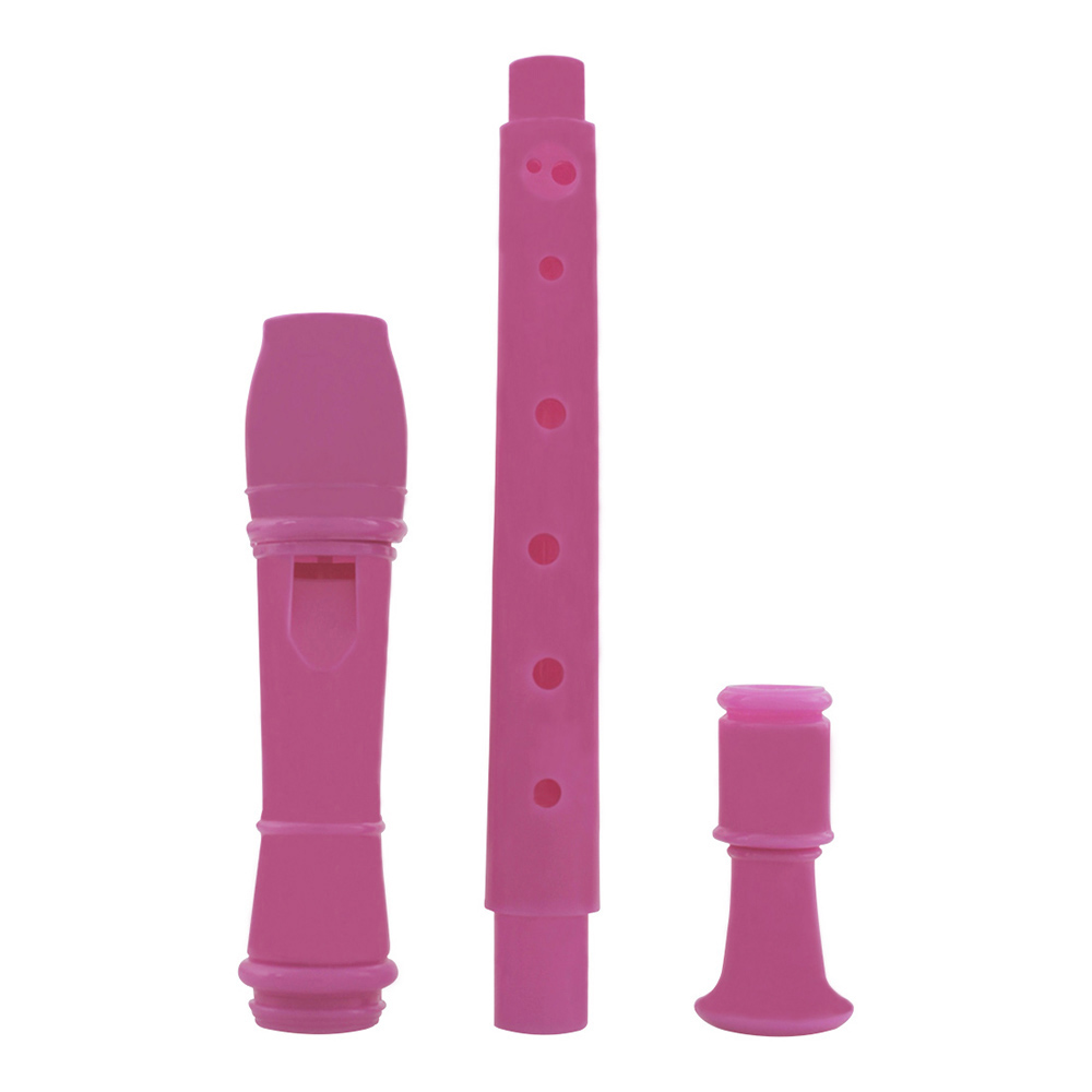 Flûte à bec IRIN 8 trous en AB - Musical Instrument A Recorder avis et prix