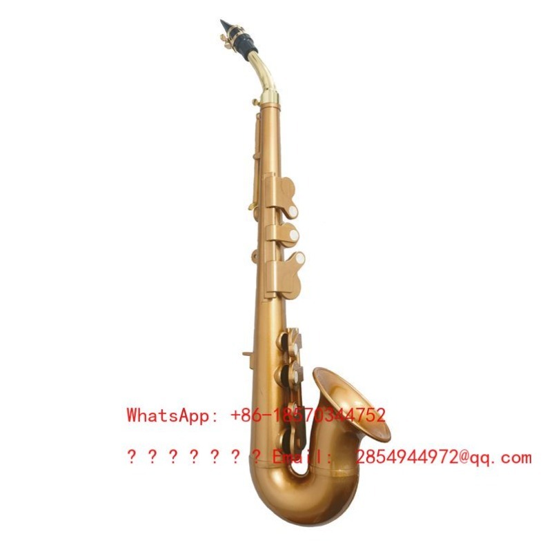 Saxophone en résine, instrumen - Musical Instrument Easy To Learn avis et prix