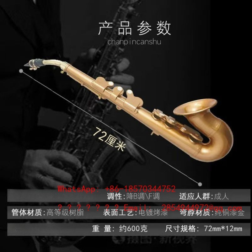 Saxophone en résine, instrumen - Musical Instrument Easy To Learn avis et prix