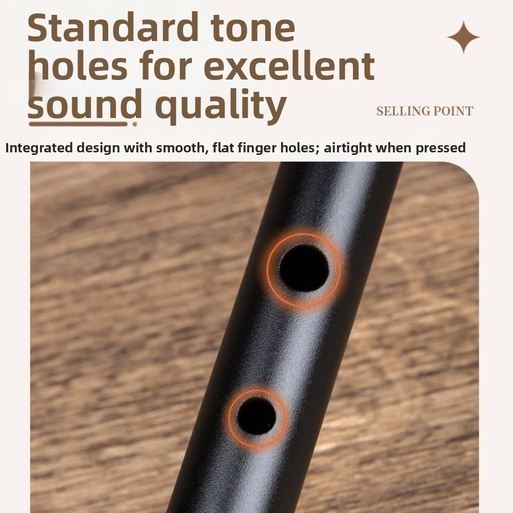 Flûte irlandaise à 6 trous en  - Musical Instrument Easy To Learn avis et prix