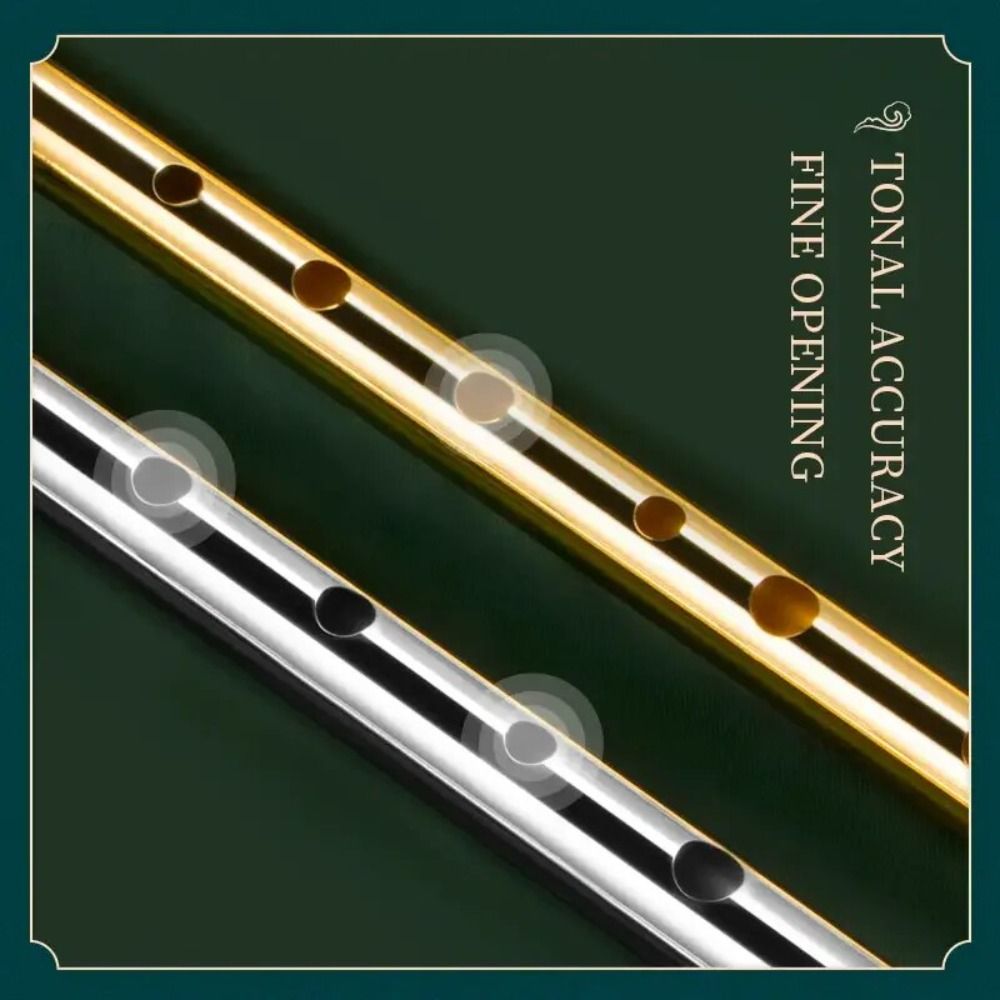 Flûte irlandaise à 6 trous en  - Musical Instrument Easy To Learn avis et prix
