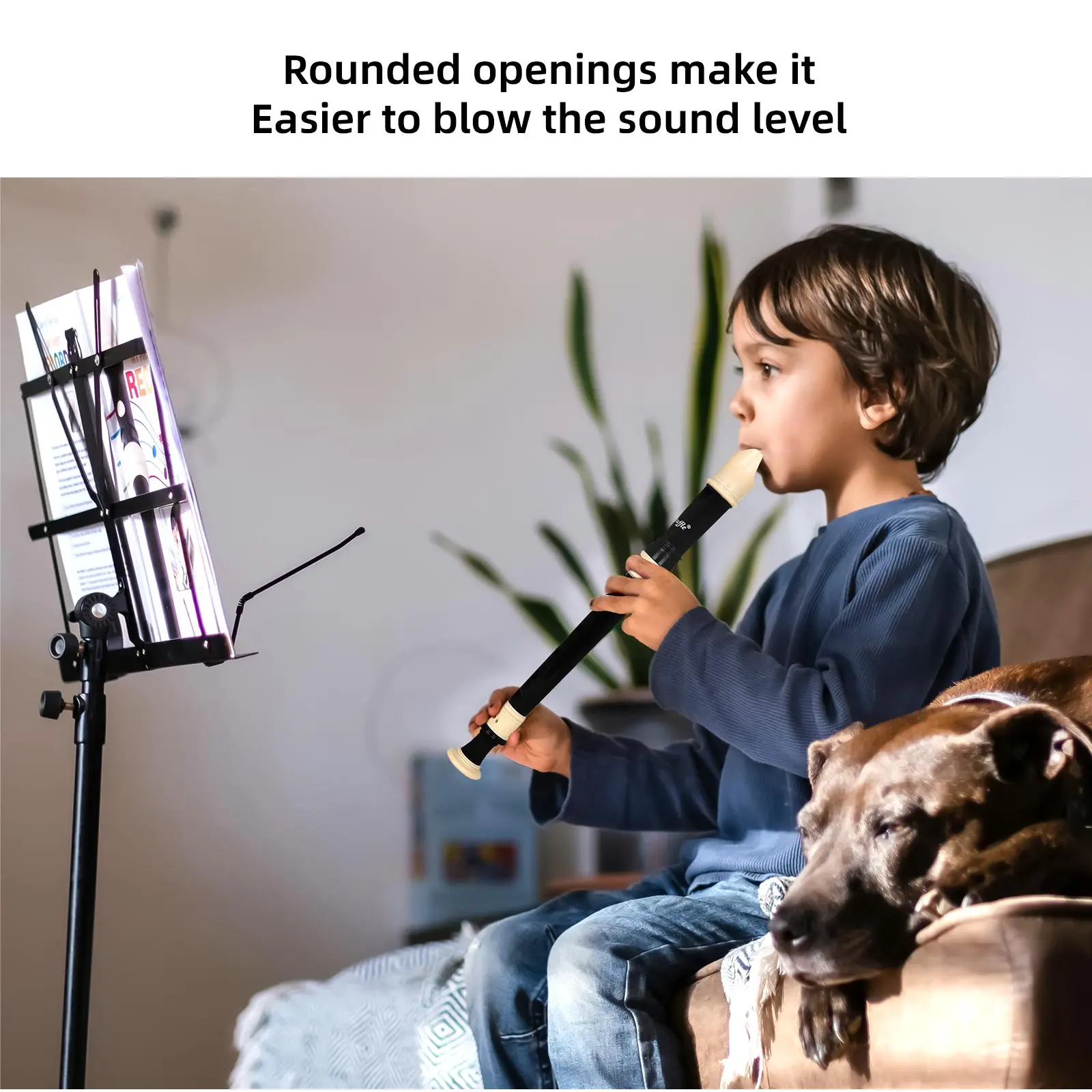 Enregistreur à 8 trous de Styl - Musical Instrument A Recorder avis et prix